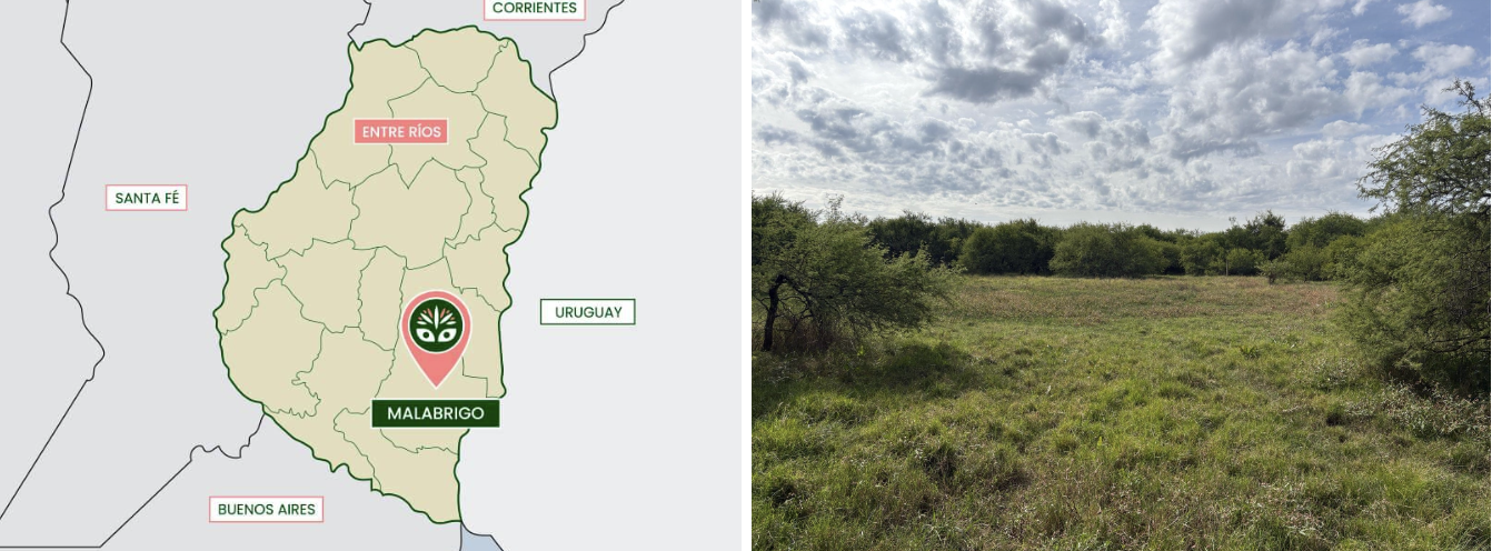 Emplazamiento Parque de Esculturas Malabrigo